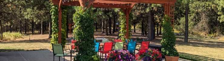 Pergola - Outdoor Tasting Room Outdoor seating area under a pergola with a table, chairs and plants